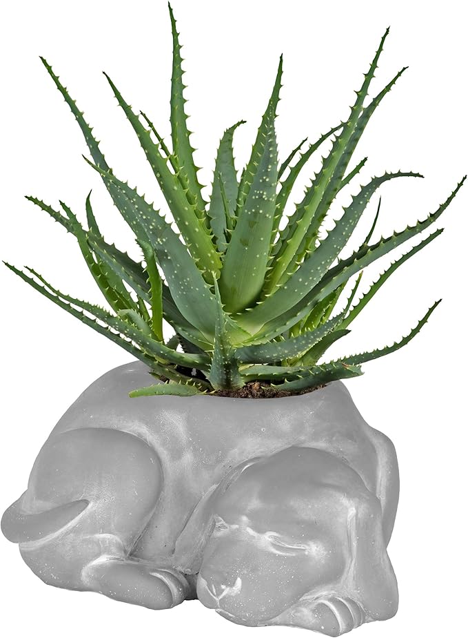 Classic Home and Garden Cement Buddies Animal Planter - Cute Desk Decoration - UV Coated Animal Vase w/Drain Plug - Succulent Plant Pot for Indoor/Outdoor Use (Dog Planter, Natural, Small)