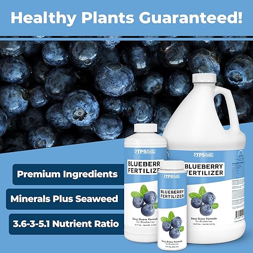 Blueberry Fertilizer – Liquid Fertilizer for Blueberry Bushes & Acid-Loving Plants, 1 Gallon