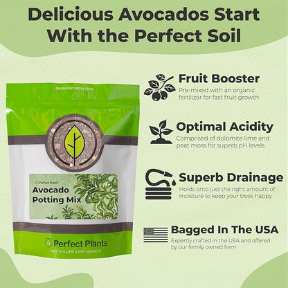 Professional Avocado Potting Mix by Perfect Plants | Premium All-Natural Blend for All Tropical Avocado Trees (4Qt)