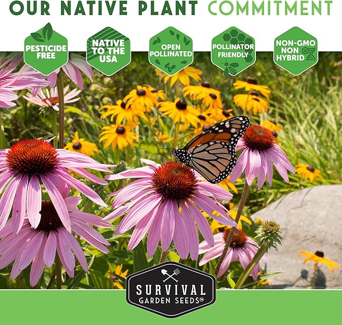 Survival Garden Seeds - Victoria Blue Sage Seed for Planting - 3 Packets with Instructions to Plant and Grow Mealycup Sage or Salvia Farinacea in Your Home Vegetable Garden - Non-GMO Heirloom Variety