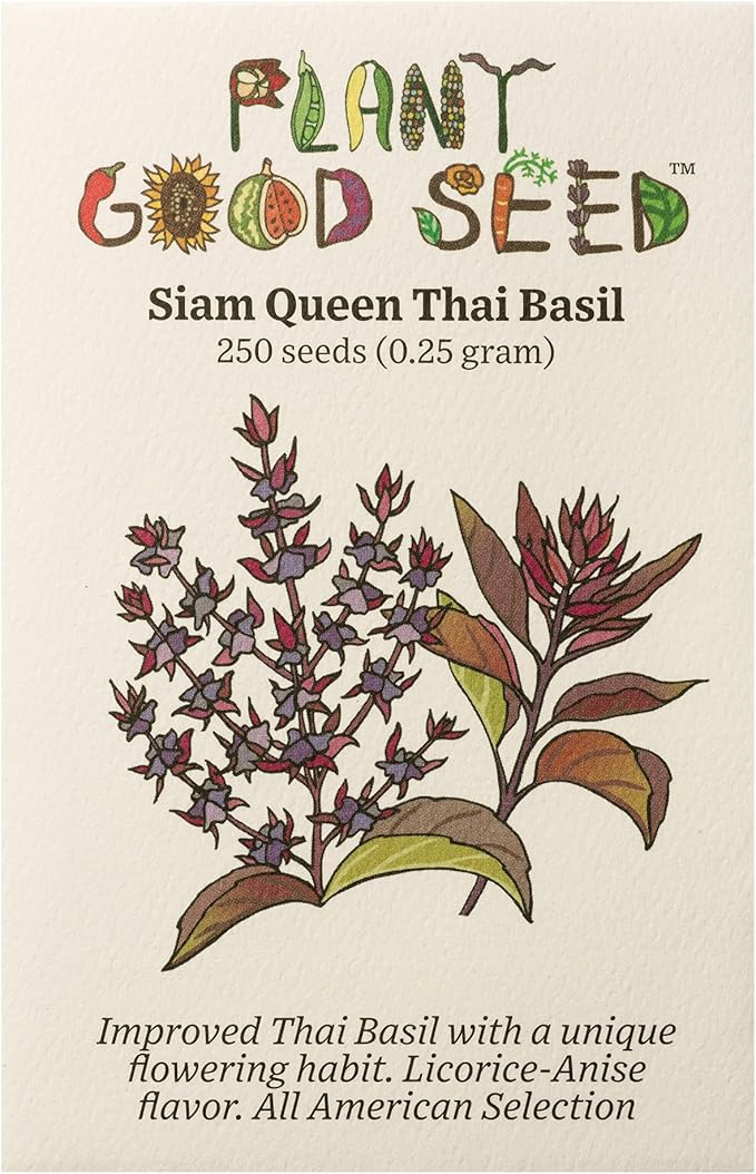 Plant Good Seed Organic Siam Queen Thai Basil Seeds for Planting: Culinary Herb, Green Purple Leaves - 250 Seed Packet