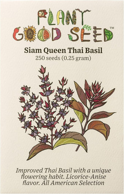 Plant Good Seed Organic Siam Queen Thai Basil Seeds for Planting: Culinary Herb, Green Purple Leaves - 250 Seed Packet