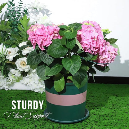 LEOBRO Plant Support, 8PCS Peony Cages and Supports, Plant Stakes for Indoor Plants, Outdoor Plants, Plant Holders, Tomato Monstera Hydrangea Support Cage, 10" W x 15.8" H