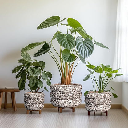 SQOWL Ceramic Pots for Plants - 10 Inch Plant Pot with Drainage Hole, Ceramic Planter for Indoor Plants, Round Flower Pots Outdoor, Modern Planter, House Home Room Decor, Gifts for Plant Lover, White
