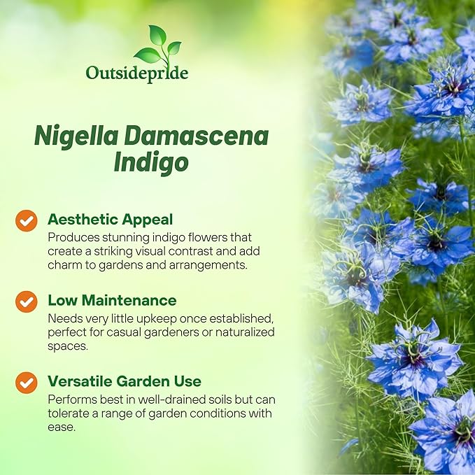 Outsidepride Jewels Indigo Nigella Seeds - 1000 Pcs Annual Flower Seeds for Planting with Vibrant Blooms & Lacy, Fern-Like Foliage, Attractive Cut Flower for Small Garden Spaces & Floral Arrangements