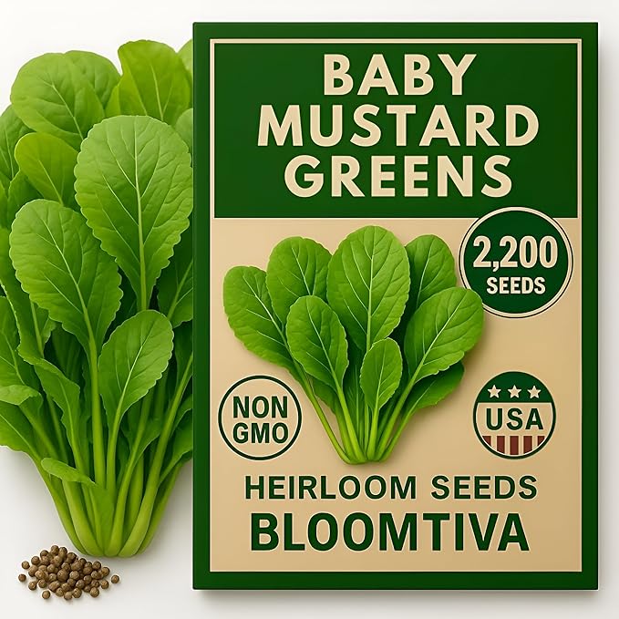 2200 Baby Mustard Greens Seeds for Planting - CAI Xanh an Non - Super Fast Harvest - Heirloom 𝗡𝗢𝗡-𝗚𝗠𝗢 Mustard Seed - High Germination Rate – Grown in USA (Brassica juncea)