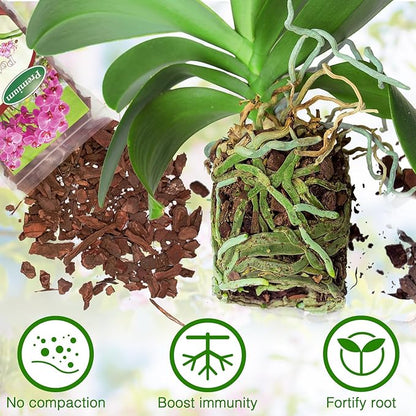 Orchid Bark Potting Mix,Premium Orchid Potting Mixture of Pine Bark and Perlite,Good Ventilation and Water Retention for Repotting Orchids and Growing Indoor Plants,1QT