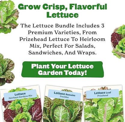 Epic Gardening Lettuce Seed Bundle - 3 Heirloom & Non-GMO Varieties, Includes Freckles Romaine, Heirloom Mix & Prizehead Leaf, Perfect for Fresh Salads, Wraps & Garden-to-Table Meals
