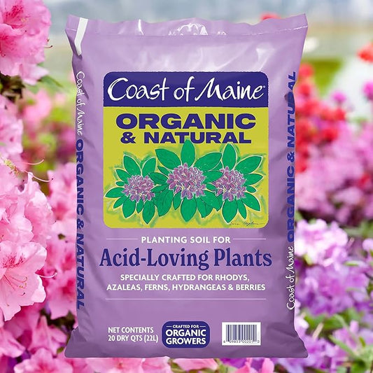 Coast of Maine Organic & Natural Planting Soil for Acid Loving Plants Azalea, Rhododendron & Berries - Premium Planting soil w/ Composted Manure, Sphagnum Peat Moss - Low pH, Enhanced Drainage (20 Qt)