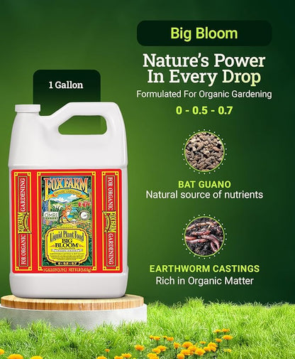 Fox Farm Big Bloom Liquid Plant Food - Organic Bloom Fertilizer for Flowering & Fruiting Plants, Contains Earthworm Castings & Bat Guano - Supports All Stages of Plant Growth - 0-0.5-0.7 NPK, 1Gallon