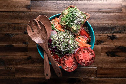 Broccoli Trio Sprouting & Microgreen Mix | Contains 3 Heirloom, Non GMO Broccoli Sprouting Seed Varieties for Sprouts & Microgreens | 1 LB Resealable Bag | Rainbow Heirloom Seed Co.