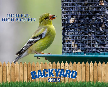 CountryMax Backyard Seeds Black Oil Sunflower Seeds for Wild Birds 25lbs - Thin Shells, Premium Cardinal Food, Medium Bag of Black Oil Sunflower Seeds