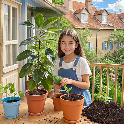 Organic Avocado Tree Potting Soil Mix 4qt, Enhance Growth and Transplant Success for Avocado Plants