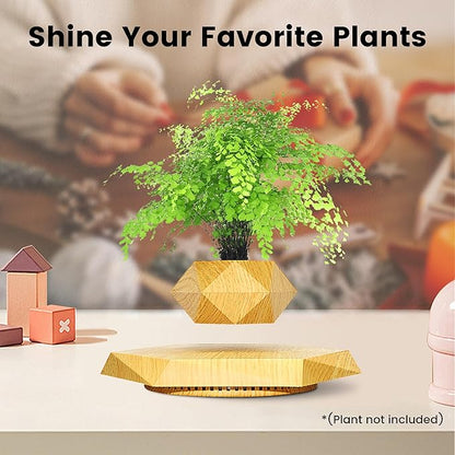 Levitating Plant Pot,Magnetic Floating Plant Pot for Small Plants,360°Rotating Levitating Desk Decor for Home & Office,Floating Pot Gift for Plant Lovers,Birthday, Christmas, New Year(Wood)