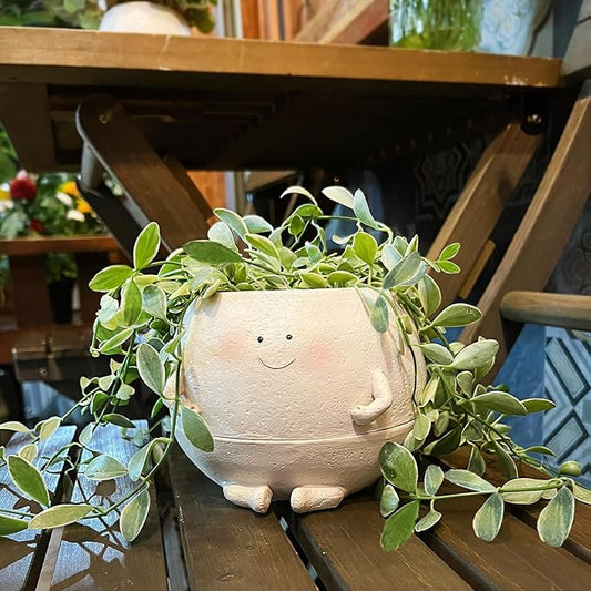 NINIPAPA Self Watering Plant Pot 4 Inch Cute Smile Face Planter Pot for Indoor Outdoor Plants with Drainage Hole Unique Flower Pots for Succulent/Herbs/Violets