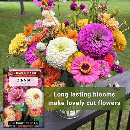 Sow Right Seeds - Bulk Mixed Zinnia Seeds for Planting - 1 Ounce, 4300 Seeds - Non-GMO Heirloom Jumbo Pack to Grow in Your Flower Garden - Abundant Amount of Beautiful Cut and Come Again Flowers