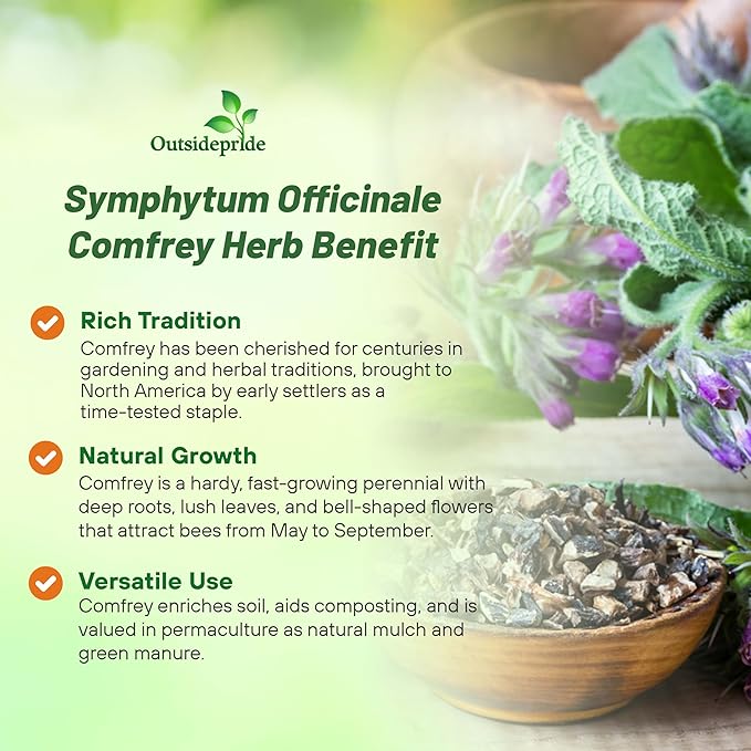 Outsidepride Comfrey Seeds - 100 Pcs. Perennial, Drought-Tolerant & Low Maintenance, Herb Seeds for Planting Tall, Vibrant Bell-Shaped Purple Blooms for Versatile Uses & Pollinator Gardens