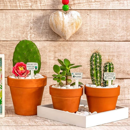 15pcs Funny Plant Stakes Garden Plants Markers Wooden Plants Labels Tab Funny Signs with Stake for Outdoor Indoor Patio Supplies Novelty Gifts Garden Potted