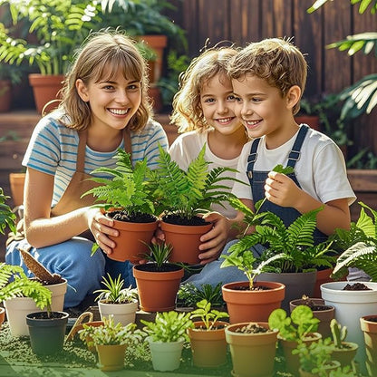 Potting Soil Mix for Fern 10qt, Custom Hand Blended Mixture Suitable for Indoor/Outdoor Potted Fern Plant