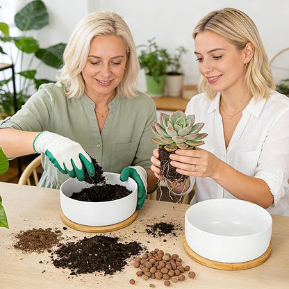 White Ceramic Succulent Plant Pots, Set of 2 Round Planter Small Cactus Container, Bonsai Pots, Succulent Pots with Drainage Hole& Bamboo Tray (No Plant)