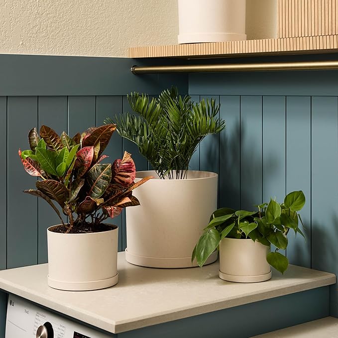 Bloem Mathers 8" Vanilla Bean Round Modern Resin Garden Planter Pot with Drainage Holes and Removable Saucer Tray Included