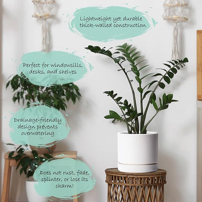 Phoenix Vine 8 Inch Planter Pot with Drainage Hole & Saucer, Deep Water Catch Tray, Straight Cylindrical Round Pot for Plants, Matte White, Pack of 2, 23-B-T-2