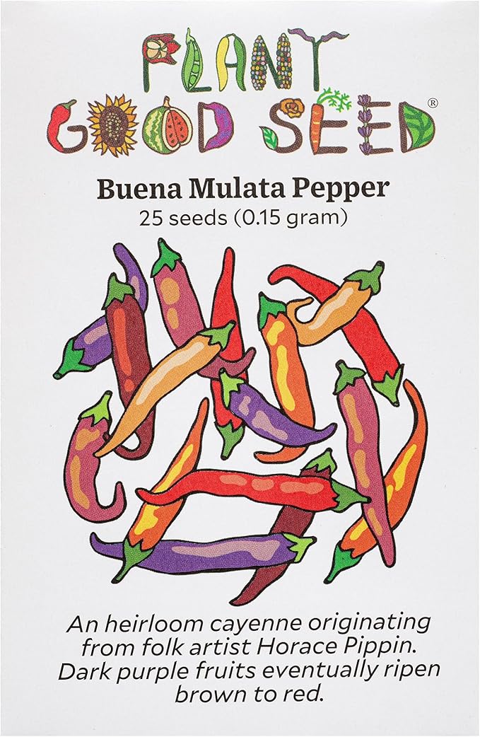 Plant Good Seed Organic Buena Mulata Pepper Seeds for Planting: Heirloom Cayenne Chili, Rainbow Fruits - 25 Seed Packet