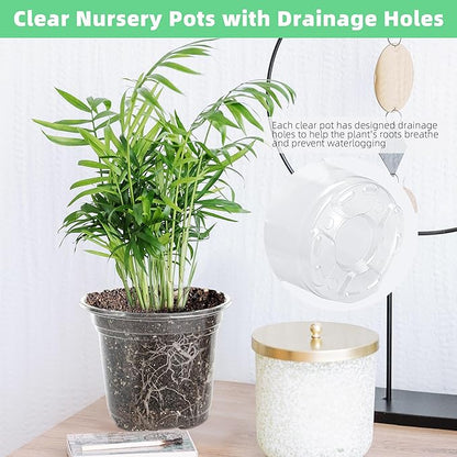 Small Plastic Plant Nursery Pot/Pots (36 Packs 5/4/3.5 Inch Plant Pot and 40 Plant Labels) Seedlings Flower Plant Container (Transparent) Seed Starting Pots Indoor Outdoor