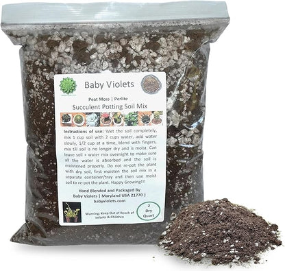 Succulent (½ Gallon / 2 quarts) Plant Potting Soil Mix Peat Moss & Perlite