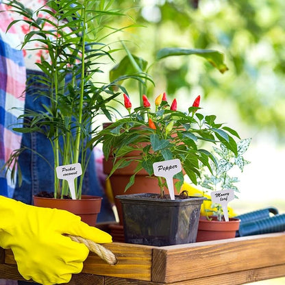 300 Pcs Plastic Plant T-Type Tags Nursery Garden Labels 6 x10cm Seed Remark Name Sign Waterproof Flower Potting Name Markers Garden Seedling Tags Recording Plant Time Name