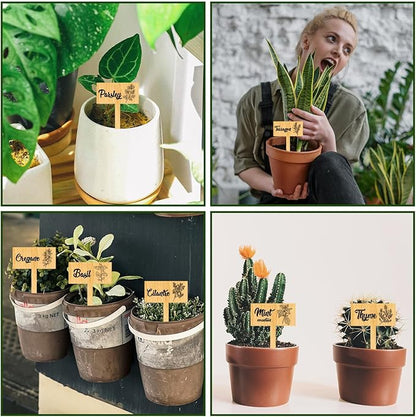 arricraft 15 Pcs Plant Labels, Wooden Herb Markers Herb T Type Tags Garden Labels with Printed Herb Name Wood Garden Stakes for Indoor and Outdoor Potted Seed Herbs Unique Funny Gifts