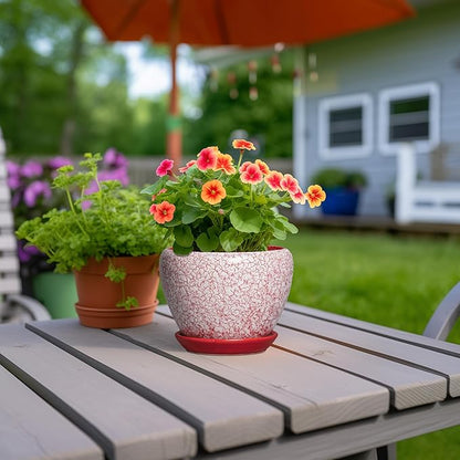 Ceramic Plant Pots - 6 Inch Pots for Plants Indoor Outdoor, Modern Planter with Drainage Hole and Tray, Round Decorative Flower Pot, Home Office Decor, House Warming Gifts, Crackle Red