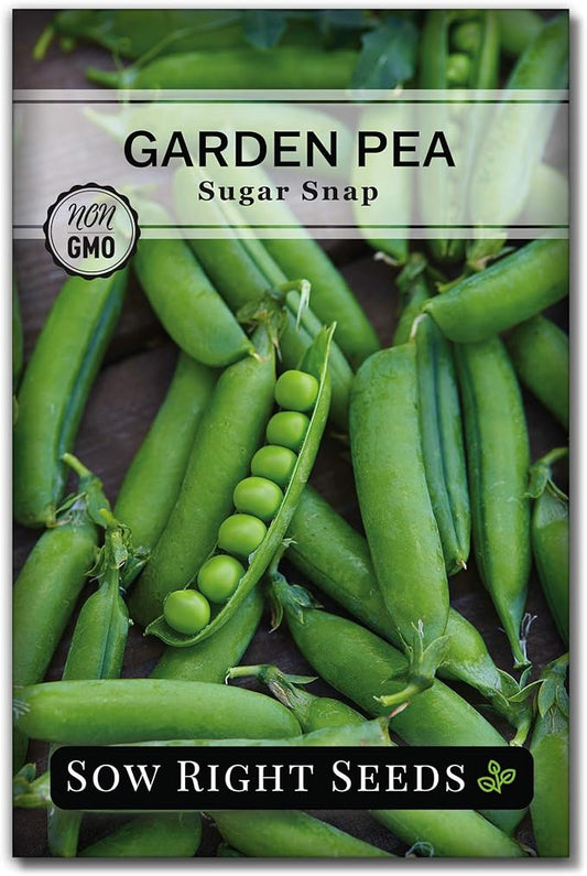 Sow Right Seeds - Sugar Snap Pea Seeds for Planting - Non-GMO Heirloom Peas to Grow in Vegetable Garden - High Yield Cool Season Crop - Packet with Instructions for Pea Plant Care (1)