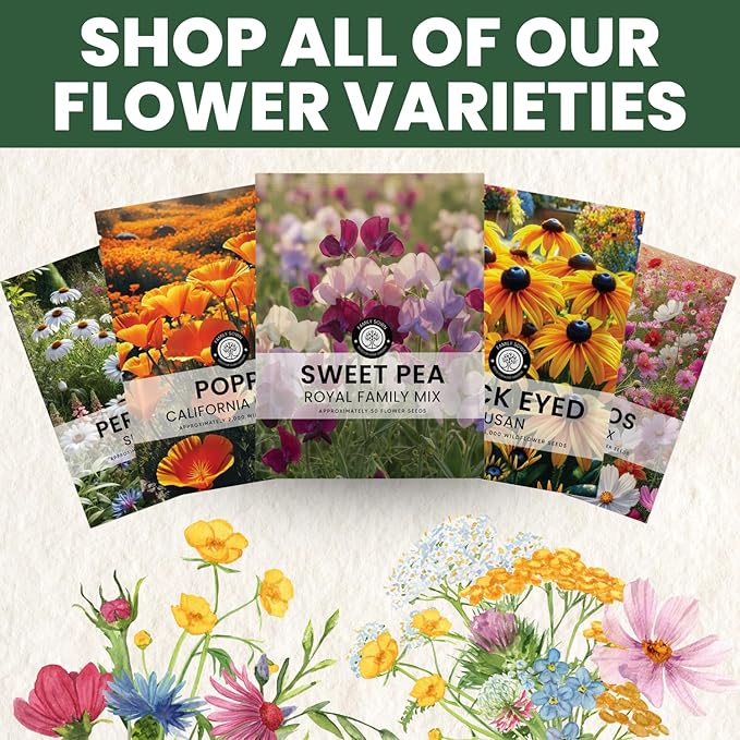 Sweet Pea Royal Family Mix – 250 Seeds for Planting – 2026 Season – 1 Ounce