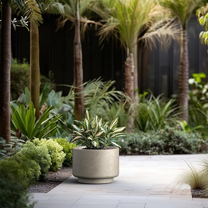 Kante 15.7 Inch Dia Concrete Planter, Round Pedestal Design Garden Pot for Indoor Outdoor Plants, Modern Flower Pot with Drainage Hole, Weathered Concrete