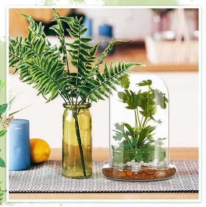 1 Pcs 5.9 x 7.9 Inch Glass Terrarium Clear Terrarium Planter Container Glass Dome Cloche with Airhole and Base for Plant Flower Home Tabletop Display Centerpiece, Plants Not Included
