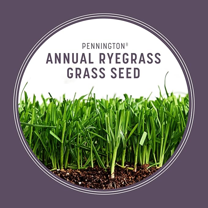 Pennington Annual Ryegrass Grass Seed 10 lb