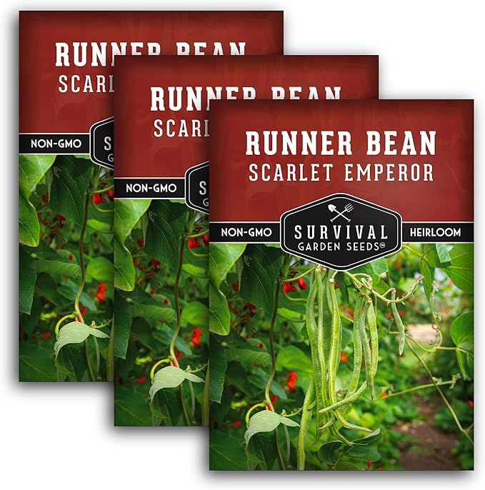 Survival Garden Seeds Scarlet Emperor Runner Bean Seeds for Planting - 3 Packets with Instructions to Plant & Grow Red Multiflora Beans in Your Home Vegetable Garden - Non-GMO Heirloom Variety