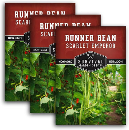 Survival Garden Seeds Scarlet Emperor Runner Bean Seeds for Planting - 3 Packets with Instructions to Plant & Grow Red Multiflora Beans in Your Home Vegetable Garden - Non-GMO Heirloom Variety