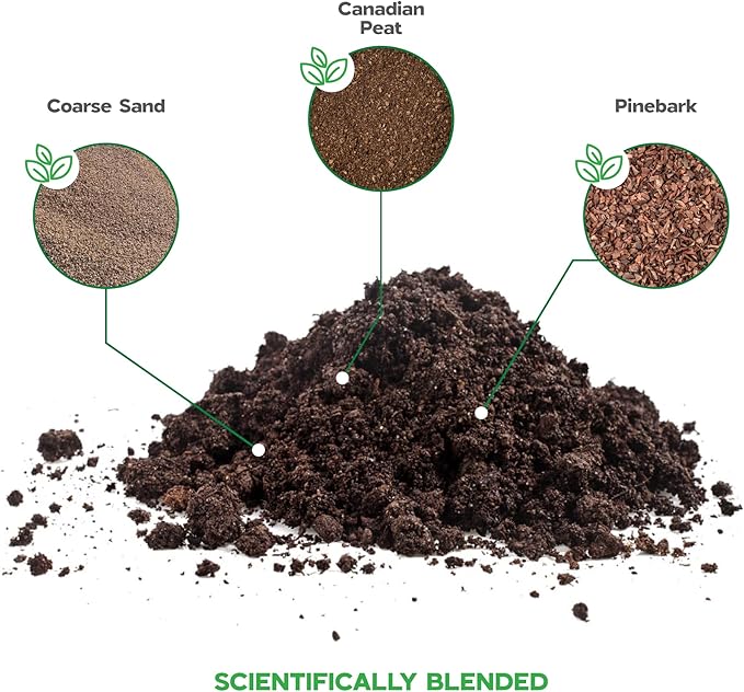 Potting Soil for Aloe Vera Plants Indoor Aloe Vera Plant Cactus Soil Potting Mix Aloe Vera Potting Mix Indoor Potted Aloe Plants Live Succulents Cactus Live Plants 2.4 Qts