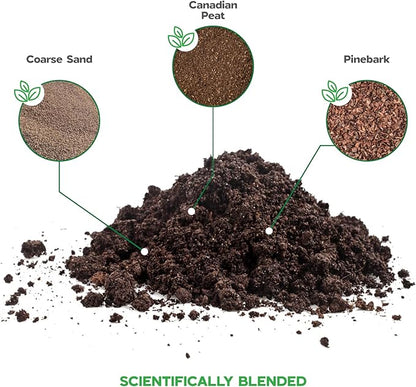 Potting Soil for Aloe Vera Plants Indoor Aloe Vera Plant Cactus Soil Potting Mix Aloe Vera Potting Mix Indoor Potted Aloe Plants Live Succulents Cactus Live Plants 2.4 Qts