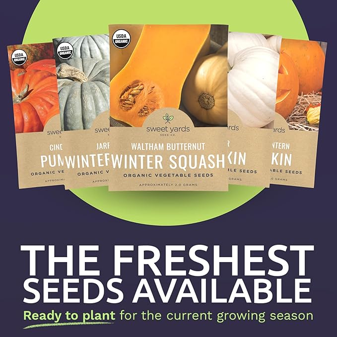 Organic Pumpkin & Winter Squash Seeds Variety Pack - 10 Individual Packs - 2026 Season - Big Max Pumpkin, Spaghetti Squash, Casper Pumpkin and More! for Indoor & Outdoor Planting