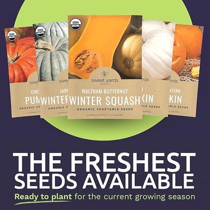 Organic Pumpkin & Winter Squash Seeds Variety Pack - 10 Individual Packs - 2026 Season - Big Max Pumpkin, Spaghetti Squash, Casper Pumpkin and More! for Indoor & Outdoor Planting