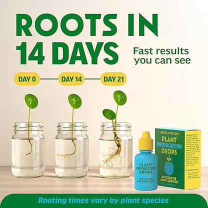 Rooting Drops for Plant Propagation | for Faster, Stronger Roots & Less Shock | Propagation Drops for Water, Soil, Moss, & More! Supports Plant Health During Repotting | for All Your Props & Cuttings