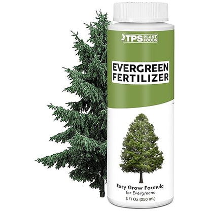 Evergreen Tree Fertilizer for All Conifer Trees and Shrubs, Liquid Plant Food 8 oz (250mL)