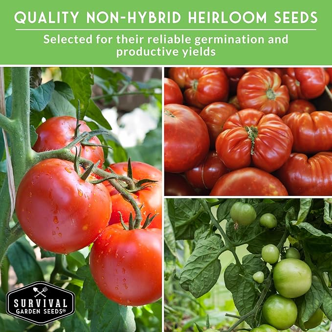 Essential Tomato Seeds 5 Variety Pack for Planting – Classic Heirloom Non-GMO Tomatoes: Cherokee Purple, Roma, Large Red Cherry, Beefsteak, and Great White – Survival Garden Seeds