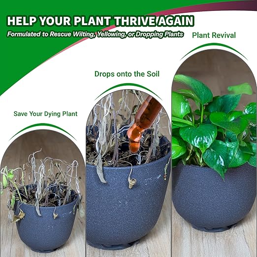 Propagation Plant Drops, Prop Solution for Healthier Roots & Care of Struggling Houseplants, 4oz