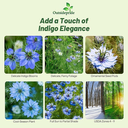 Outsidepride Jewels Indigo Nigella Seeds - 2000 Pcs Annual Flower Seeds for Planting with Vibrant Blooms & Lacy, Fern-Like Foliage, Attractive Cut Flower for Small Garden Spaces & Floral Arrangements