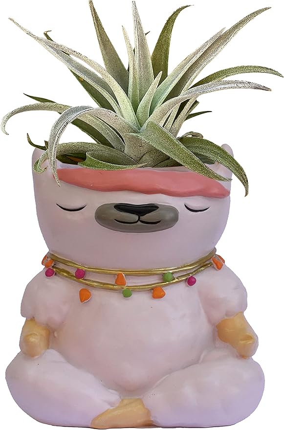 GFF Grass Flip Flops Animals Planters Lama 4 Inch Plant Pots for Succulents Flowers Herbs Houseplants - Indoor Outdoor Live Plants Stand Garden Home Office Kitchen Decor