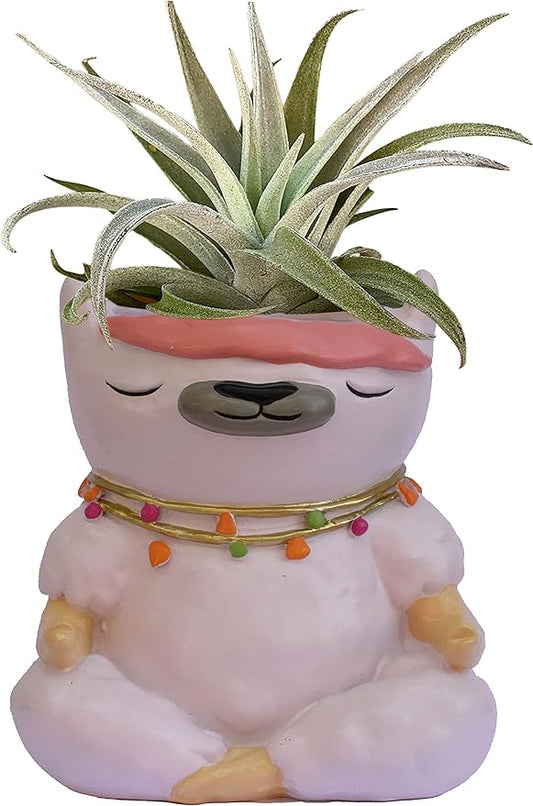 GFF Grass Flip Flops Animals Planters Lama 4 Inch Plant Pots for Succulents Flowers Herbs Houseplants - Indoor Outdoor Live Plants Stand Garden Home Office Kitchen Decor